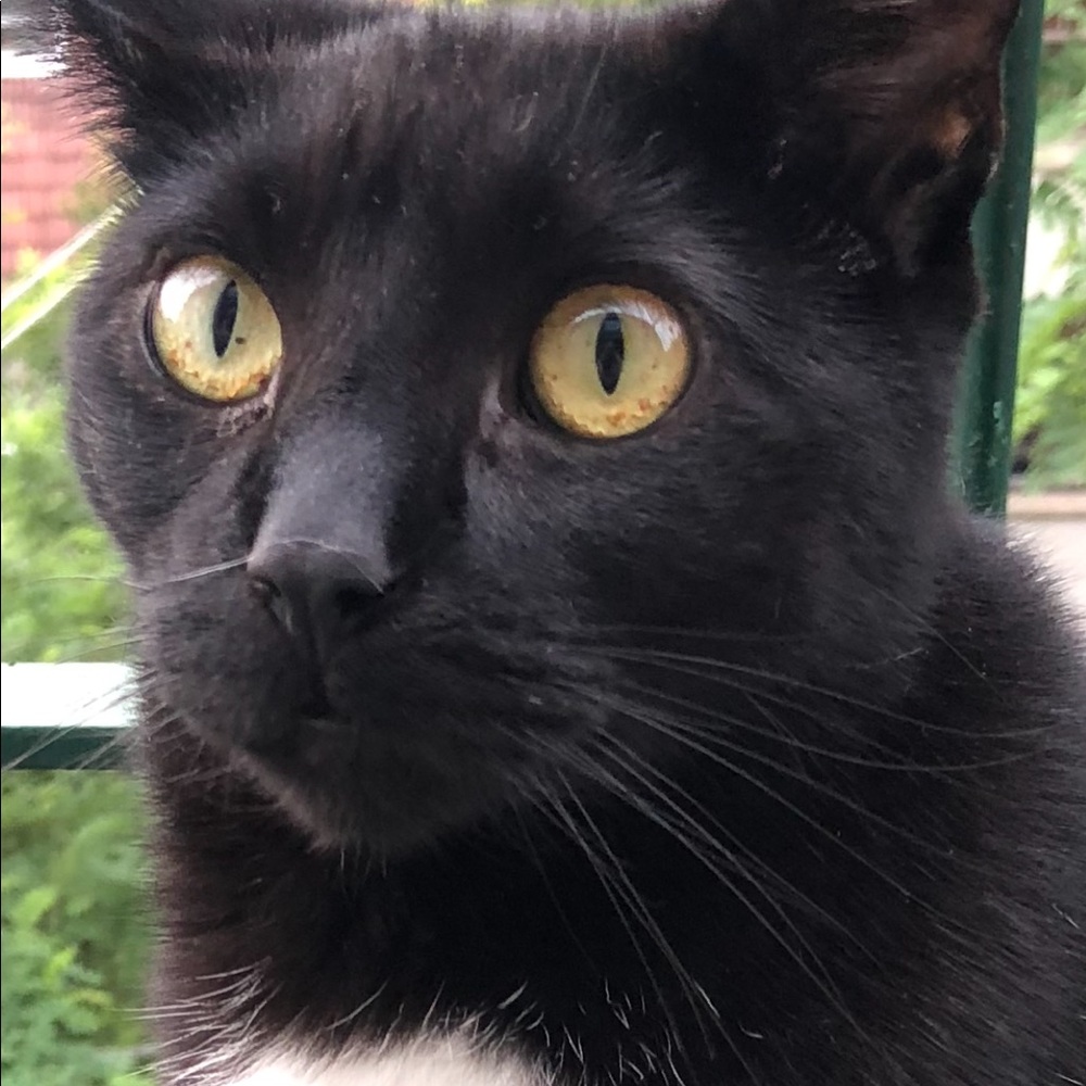 Meet your Posher, Elizabeth